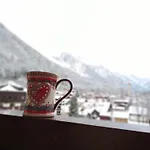 Vue Magique MontBlanc Agréable T2 Parking Centre