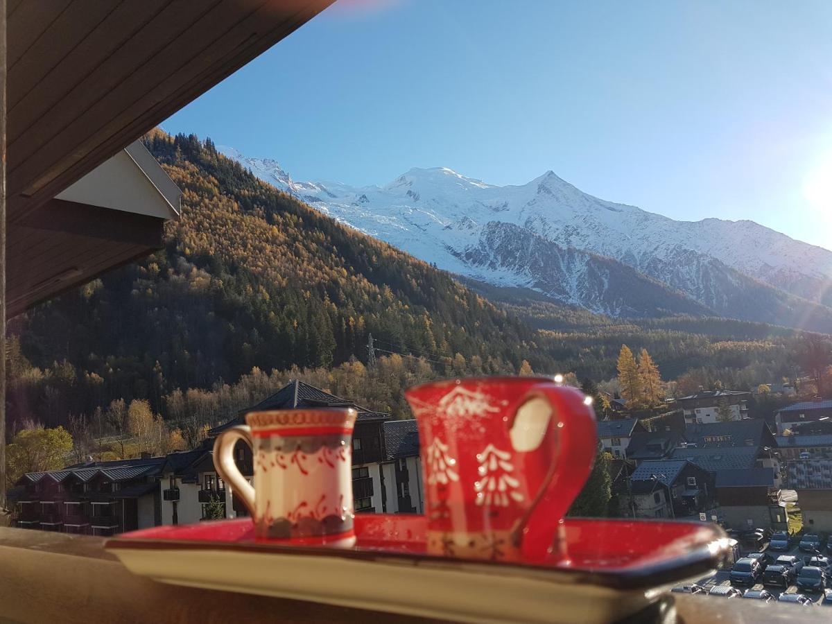 Vue Montblanc Magique En Centre-ville Avec Parking Appartamento Chamonix